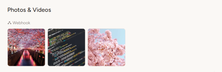 Media gallery showing thumbnail images grouped by integration